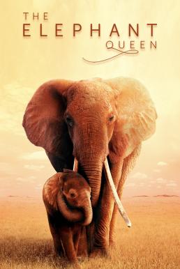 ดูหนังออนไลน์ฟรี อัศจรรย์ราชินีแห่งช้าง The Elephant Queen (2019)